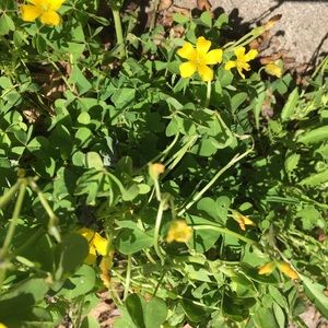 Meet your Posher, Katelyn